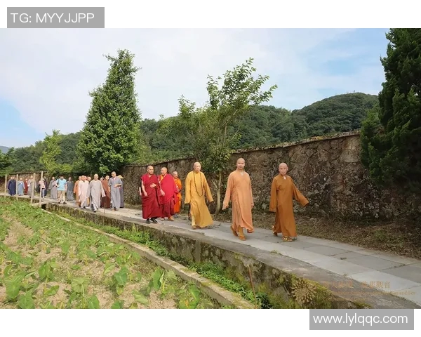 当代二十大足球明星全景解析与影响力探讨