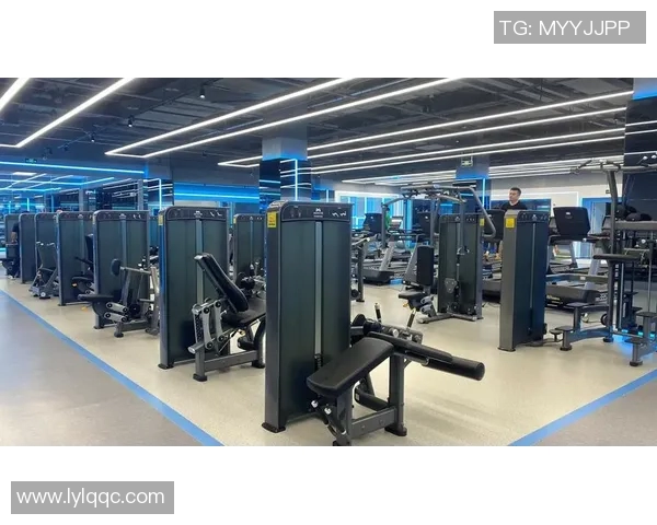 健身器材十大品牌推荐助你打造完美身材与健康生活方式