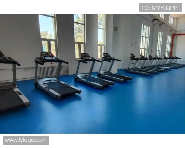 打造完美曲线收腹健身器材的选择与使用技巧全攻略